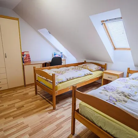 Apartment Rimljancek Leskovec pri Krskem Exterior photo